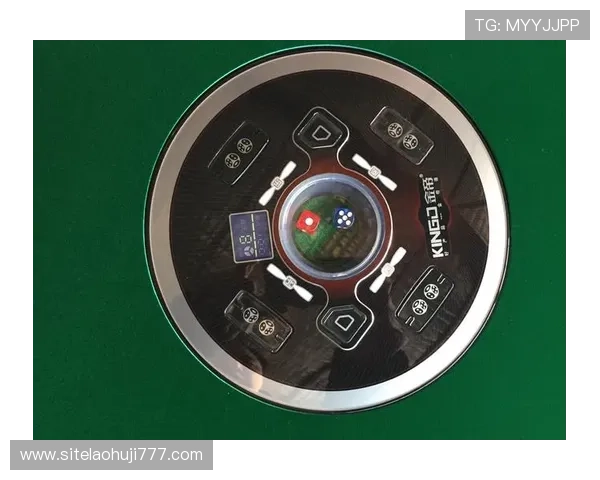 新款老虎机不断推陈出新，满足不同玩家的个性化娱乐需求