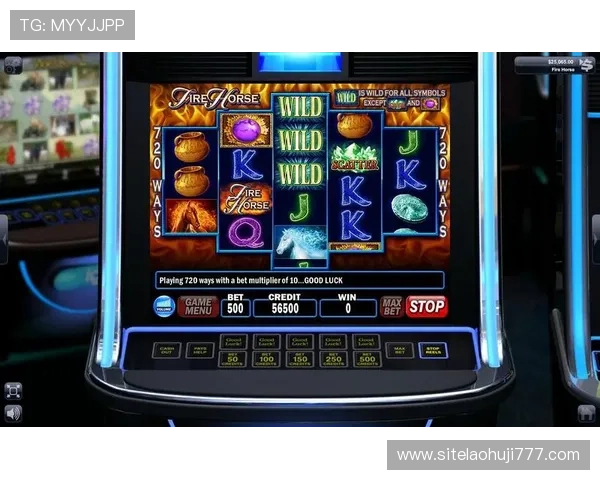 如何利用老虎机 wild的特殊功能实现高额奖励提升游戏乐趣与盈利能力 如何利用老虎机 wild的特殊功能实现高额奖励提升游戏乐趣与盈利能力